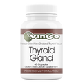 Thyroid Gland